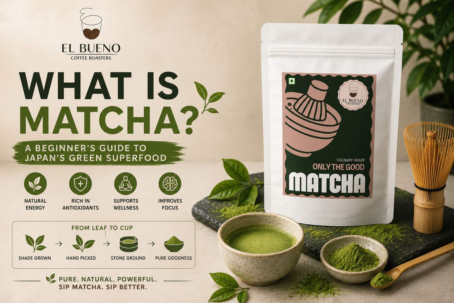 What Is Matcha? A Beginner’s Guide to Japan’s Green Superfood